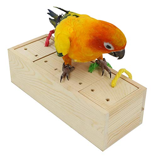 KnoRRs Vogelfutterspender aus Holz, Intelligenzspielzeug für mittelgroße und große Papageien, Sonnenconures, Kaique, Kakadu, Graupapageien, Aras