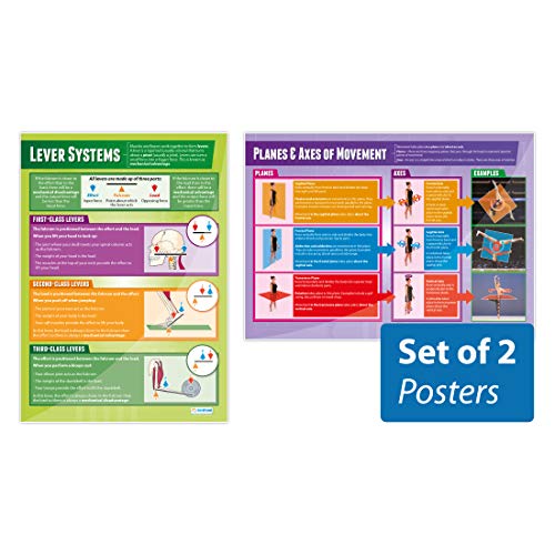 Daydream Education Poster für Bewegungsanalyse, Polyethylen-Poster, laminiertes Glanzpapier, 850 mm x 594 mm (A1)