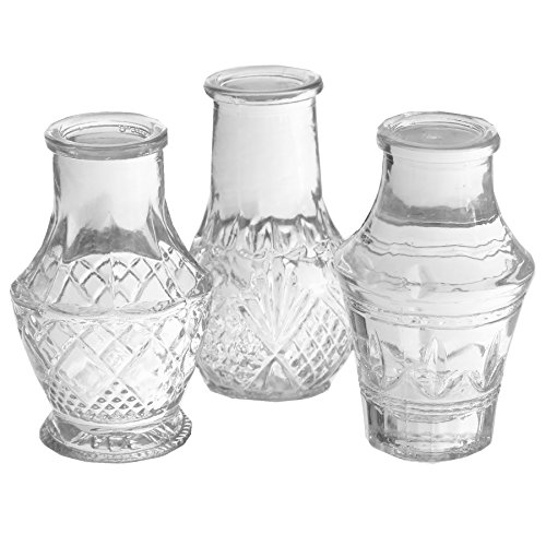 12 x Mini-Vase H 8 cm - KIeine Vasen für die Tischdeko - Deko Vasen Glasfläschchen Glasvasen Blumenvasen