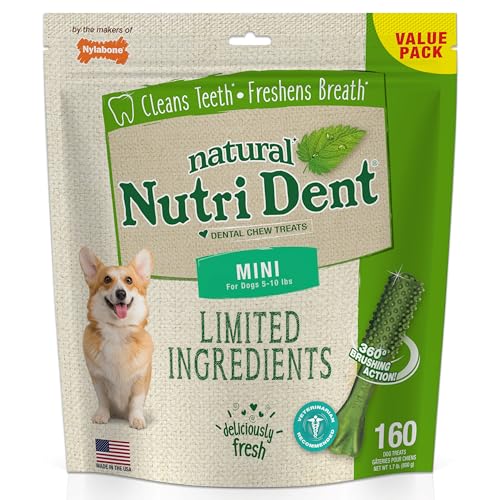 Nylabone Nutri Dent Limited Zutat Dental Dog Chews - Mini Size - Filet Mignon oder Fresh Breath Aromen, 160 Ct, Fresh Breath