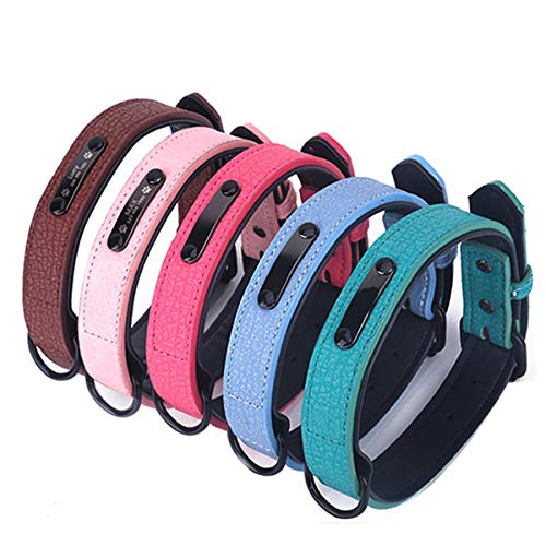 JYT GROUP Leder-Hundehalsband, verstellbar, für Welpen, Katzen, weich, bequem, für kleine und mittelgroße Hunde, zufällige Farbe (XL)