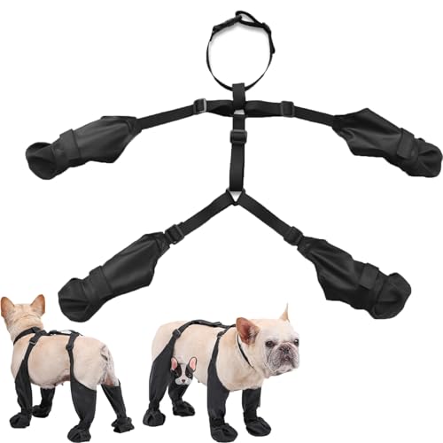 Suspender Boots for Dogs, Dog Suspender Boots, Dog Boots with Suspenders, Dog Boot Leggings, Dog Paw Boot Leggings, Waterproof (M)