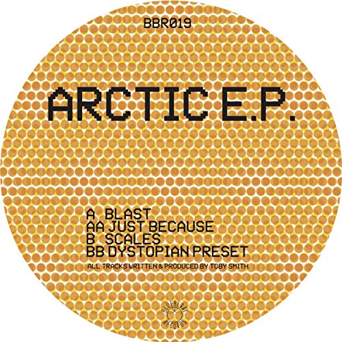 Arctic [Vinyl LP]