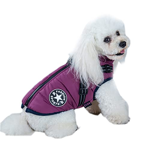 NashaFeiLi Haustierkleidung, Hunde-Wintermantel, wasserdicht, Brustgurt für Welpen, kleine und mittelgroße Hunde (2XL, Violett)