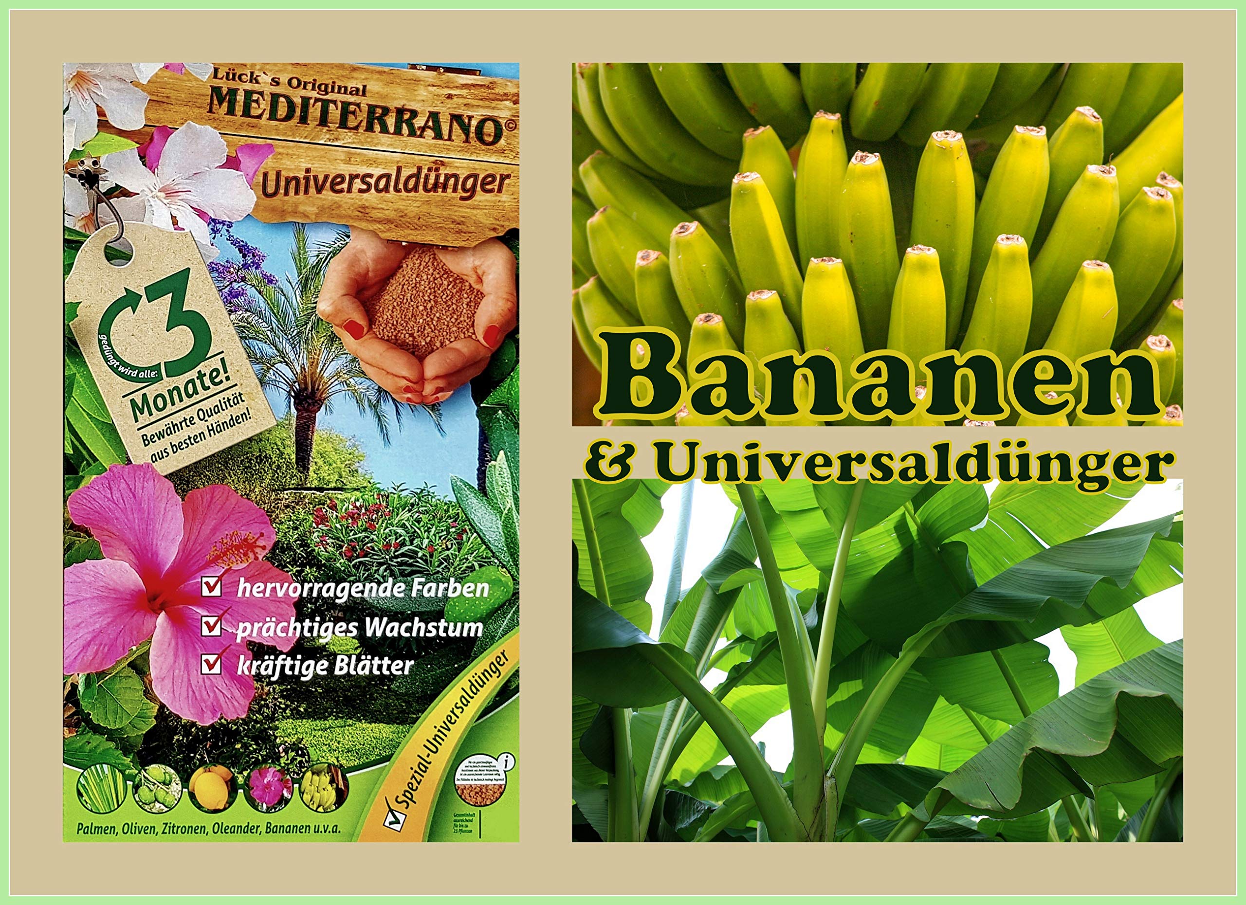 Bananendünger, Bananenbaumdünger 3Kg Mediterrano Original