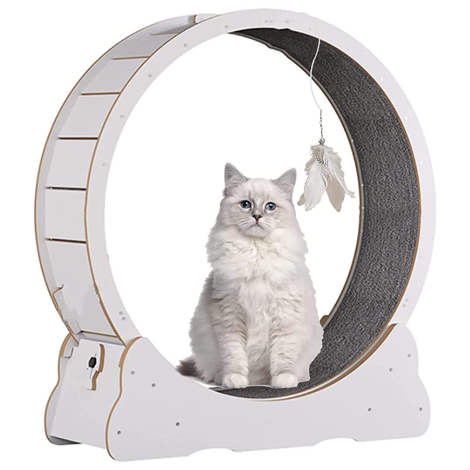 Großes Katzen-Übungsrad mit lückenlosem Design, Katzenlaufband, Katzenlaufrad, geräuschlose Bewegung, Katzen-Gewichtsverlustgerät, Aktivitätsspielzeug, interaktive Gewichtskon