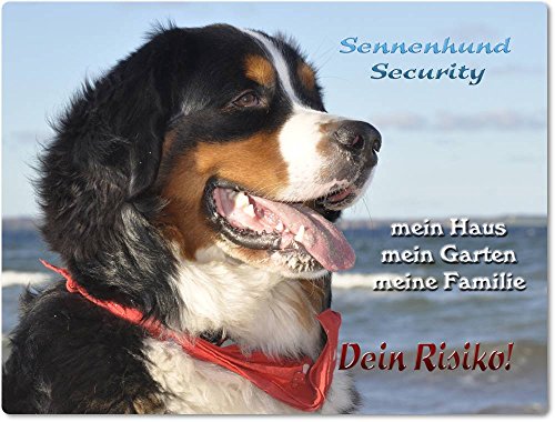 Merchandise for Fans Warnschild - Schild aus Aluminium 30x40cm - Motiv: Berner Sennenhund Security (01)