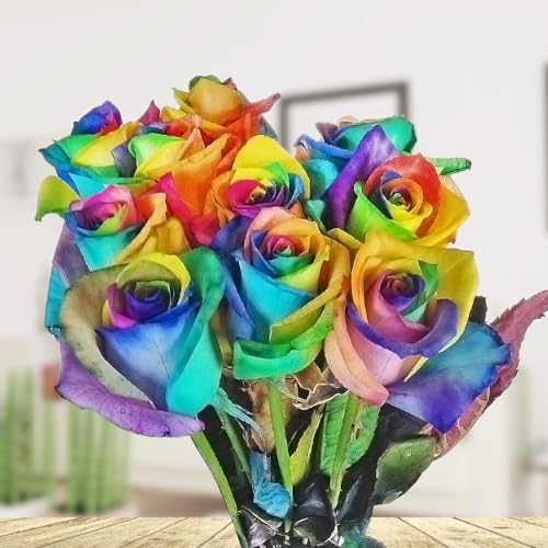 Bunte Blumen: 10x Echte Regenbogen Rosen, bunt - langstielig und vasenfertig