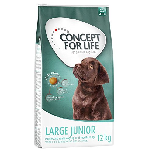 Concept für Life Junior groß. Eine Gesunde ausgewogenen Hundefutter