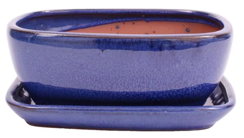 Bonsai - Schale eckig 21.5 x 16.5 x 8.5 cm, blau, mit Untersetzer 23194