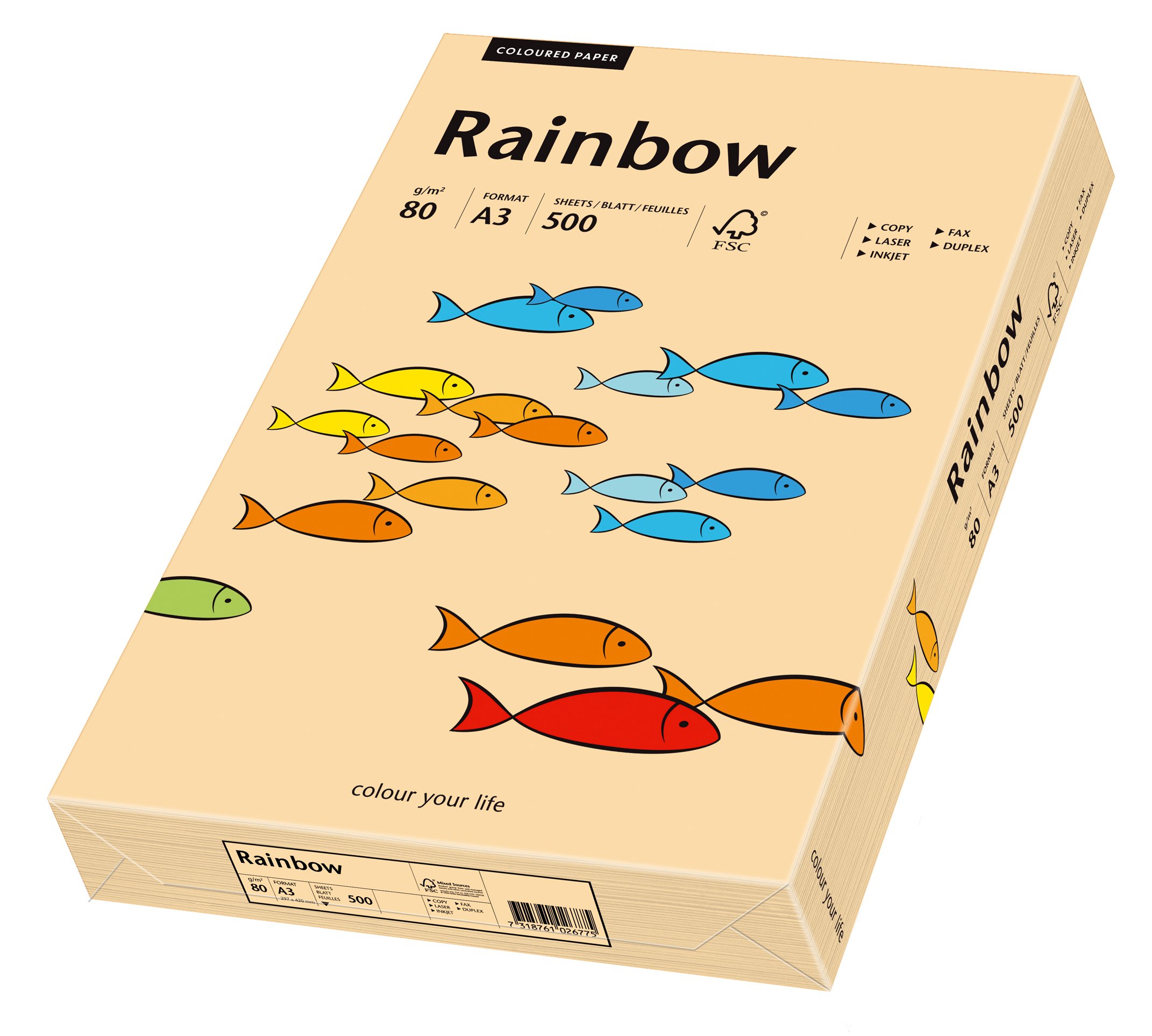 Papyrus 88042500 Drucker-/Kopierpapier bunt, Bastelpapier Rainbow: 80 g/m², A3, 500 Blatt, Matt, Farbe - Lachs