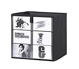 Eternity-Möbel Faltbox Aufbewahrungsbox Fotobox 3er Set BETA 6 Fotos 32x32x32 cm Anthrazit