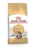 Royal Canin Maine Coon Katzenfutter, 10 kg