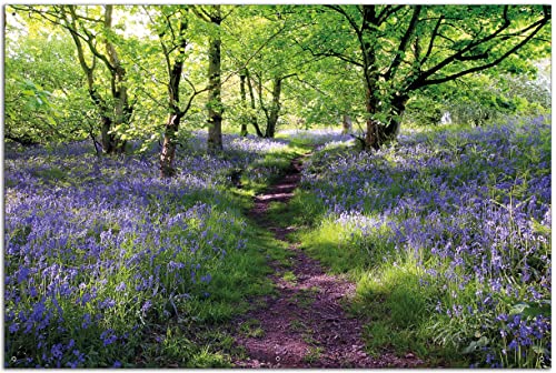 Wallario Garten-Poster Outdoor-Poster - Blaues Hasenglöckchen im Wald in Premiumqualität, Größe: 61 x 91,5 cm, für den Außeneinsatz geeignet