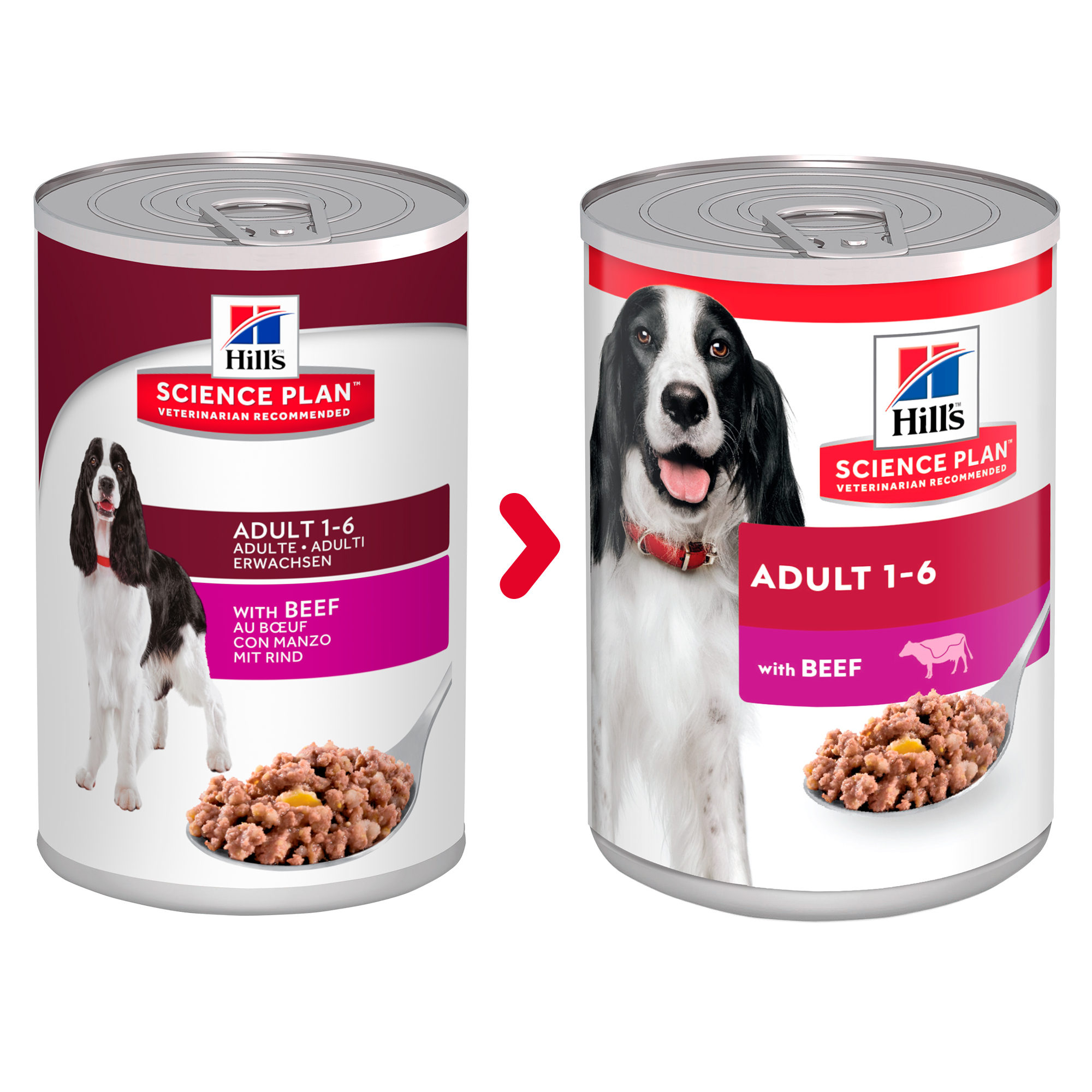 Hill's Science Plan Canine Adult - Beef - Dosen 12 x 370 g
