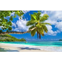 papermoon Vlies- Fototapete Digitaldruck 350 x 260 cm, Seychelles Palm Beach