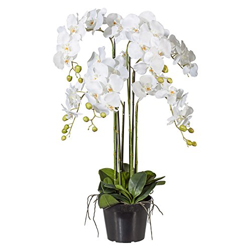 Kunstblume PHALENOPSIS ca 90 cm weiß, WEISS (Orchidee) im schwarzen Kunststofftopf 20 cm.