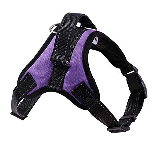 Pet Dog Harness Vest Reflective Belt Breathable Mesh Pet Dog Leash S/M/L/XL Dog Collar Accessory L Purple