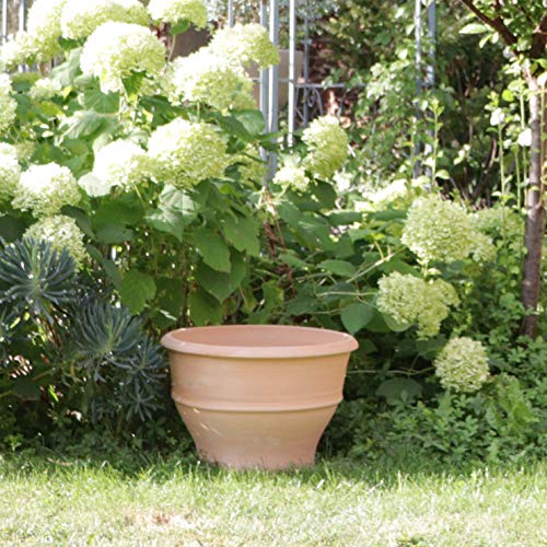 Palatina Werkstatt | terracotta Pflanzgefäß Pflanzkübel | 40 cm | breiter frostfester Blumenkübel Töpfe zum bepflanzen Außen Garten Terrasse | Buxus