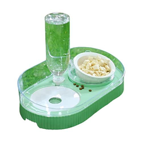 Erhöht für Schüssel Erhöhte Futterschalen Set mit auslaufsicherem Keramik Wasserspender Anti-Split Grün/Weiß Lebensmittelwasserspender