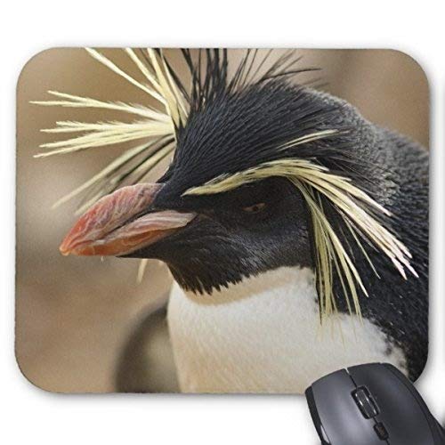 Gaming Mouse Pad. Stein Pinguin - Mousepad