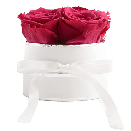 ROSEMARIE SCHULZ Heidelberg Flowerbox rund Infinity Rosen - Blumenbox in Weiß 4 konservierte Rosen (Weiß-Pink)