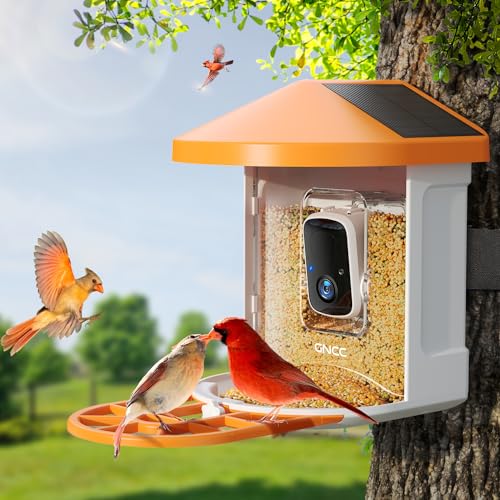 GNCC Vogelfutterspender mit Kamera, Vogelhaus mit Kamera, Futterstationen für Wildvögel, Vogelfutterstantion Kamere Video Auto Aufnehmen, Vogelhäuschen Kamera mit AI Erkennung Vogelarten