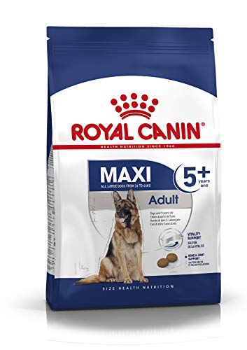 Royal Canin Medium Mature, 5+, 4 kg, 1er Pack (1 x 4 kg Packung), Hundefutter