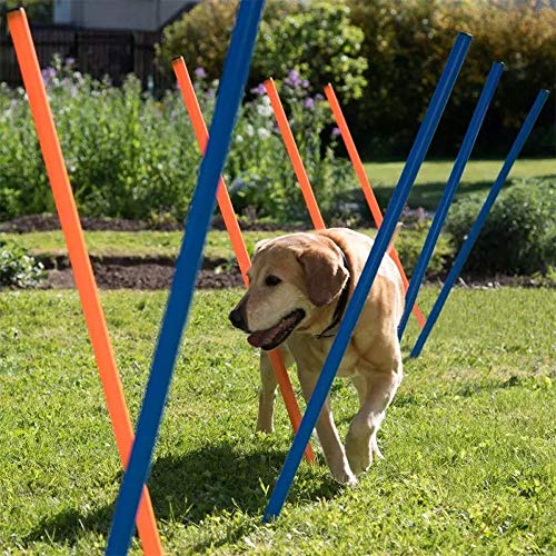 PAWISE Hundetrainingsgerät für Hunde, Agility-Trainingsgerät, 12 Stück gewebte Stangen Spielplatzausrüstung Outdoor