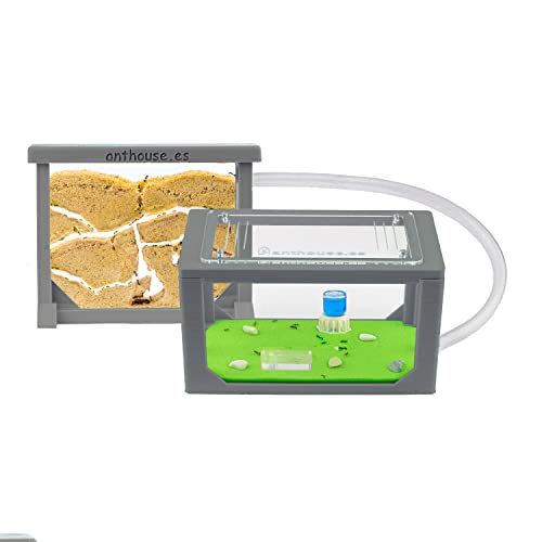 AntHouse - Ameisenfarm aus Sand | 3D Basic Set (Sandwich + Futterbox) |Grau Ant Farm | Inklusive Ameisenkolonie