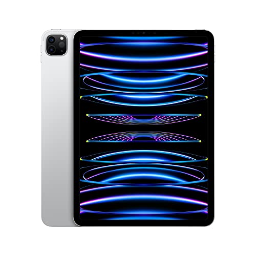 iPad Pro 128 GB Tablet 27,9 cm (11 Zoll) iPadOS 12 MP 5G (Space Grey) (Grau)