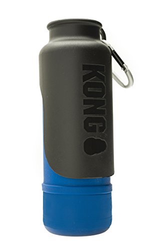 KONG H2O KGK9BLU Wasserflasche aus Edelstahl, 700 ml, Einheitsgröße