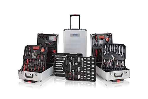 WOLFGANG 300-teiliges Werkzeugset mit Rollen, Toolbox mit Schubladen mit Werkzeug aus Chrom, Universal-Werkzeugkasten mit Griffen, 11 kg, 21 x 37 x 51 cm