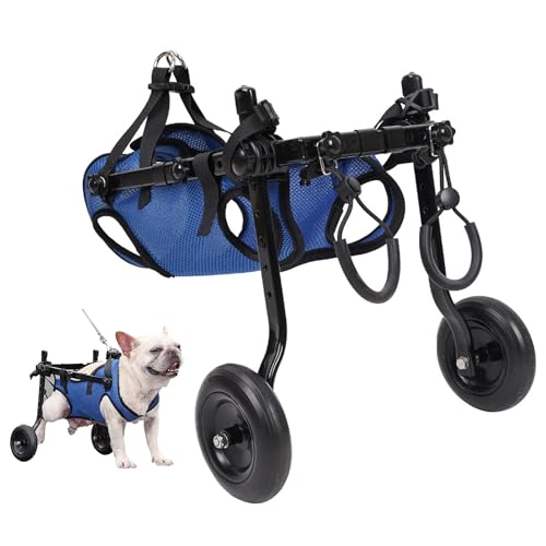 QMZDXH Hundescooter Rollstuhl für Hinterbeine, Hunderollstuhl für Hinterbeine, Rollwagen Gehhilfe, Hundegehilfe Hunderollwagen, verstellbar, volle Unterstützung für behinderte kleine Hunde M