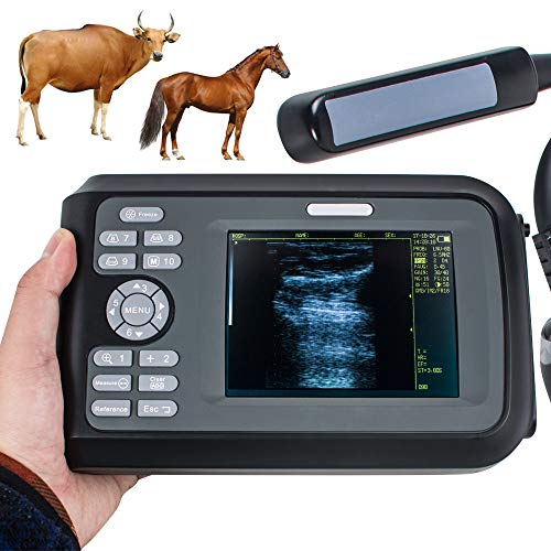 Digitaler Palmen-intelligenter Scanner mit rektaler Sonde für Veterinär-US-Versand 2-5 Tage Lieferung