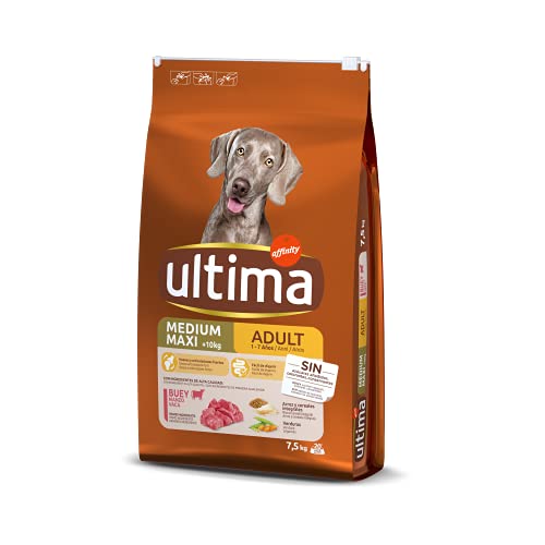 Ultima Medium-Maxi Adult Ochse, Trockenfutter für Hunde, 7,5 kg