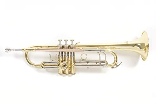 Roy Benson Bb-Trompete lackiert TR-403 inkl. leichtem Rechtecketui