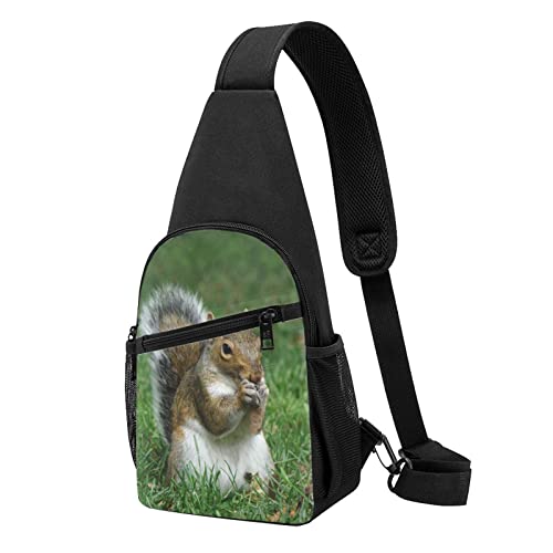 Brusttasche mit Eichhörnchen-Motiv, bedruckt, für Reisen, Wandern, Tagesrucksack, Schwarz , Einheitsgröße