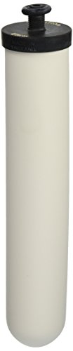 Doulton Ultracarb 10 Water Filter Candle, (W9123053) by Doulton
