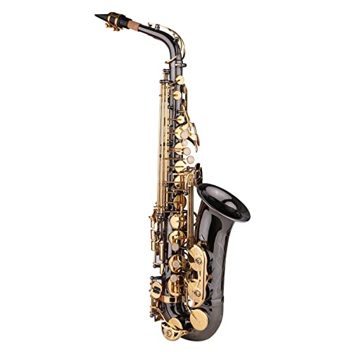 YIWENG Saxophon Eb Es-Altsaxophon Saxophon Körper aus vernickeltem Messing mit gravierten Perlmutttasten Holzblasinstrument mit Tragetasche Poliertuch Bürste Saxophon-Halsriemen