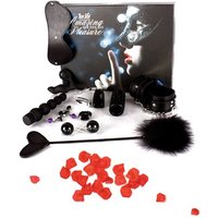 Just for You Amazing Pleasure Sex Toy Kit
