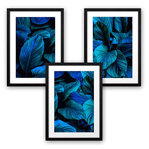 3-teiliges Premium Poster-Set | Kunstdruck | Botanik blau | Deko Bild für Ihre Wand | optional mit Rahmen | Wohnzimmer Schlafzimmer Modern Fine Art | DIN A4 / A3 (A4, schwarzer Rahmen)
