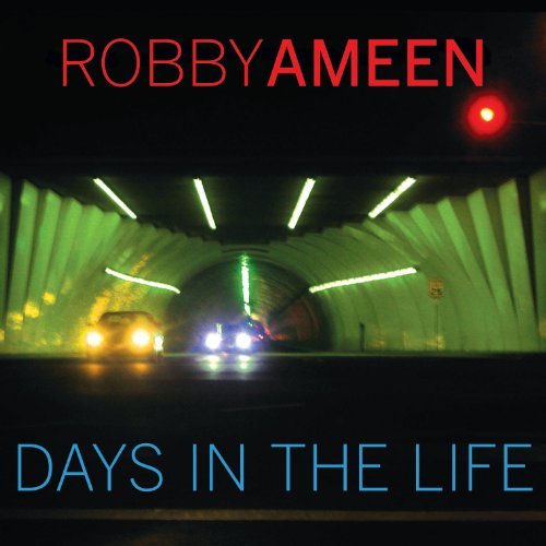 Days in the Life by Robby Ameen