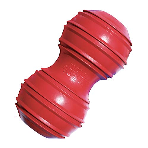 Nobby 79562 Dental Kong