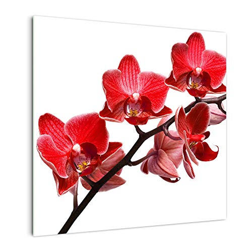 DekoGlas Küchenrückwand 'Rote Orchidee II' in div. Größen, Glas-Rückwand, Wandpaneele, Spritzschutz & Fliesenspiegel