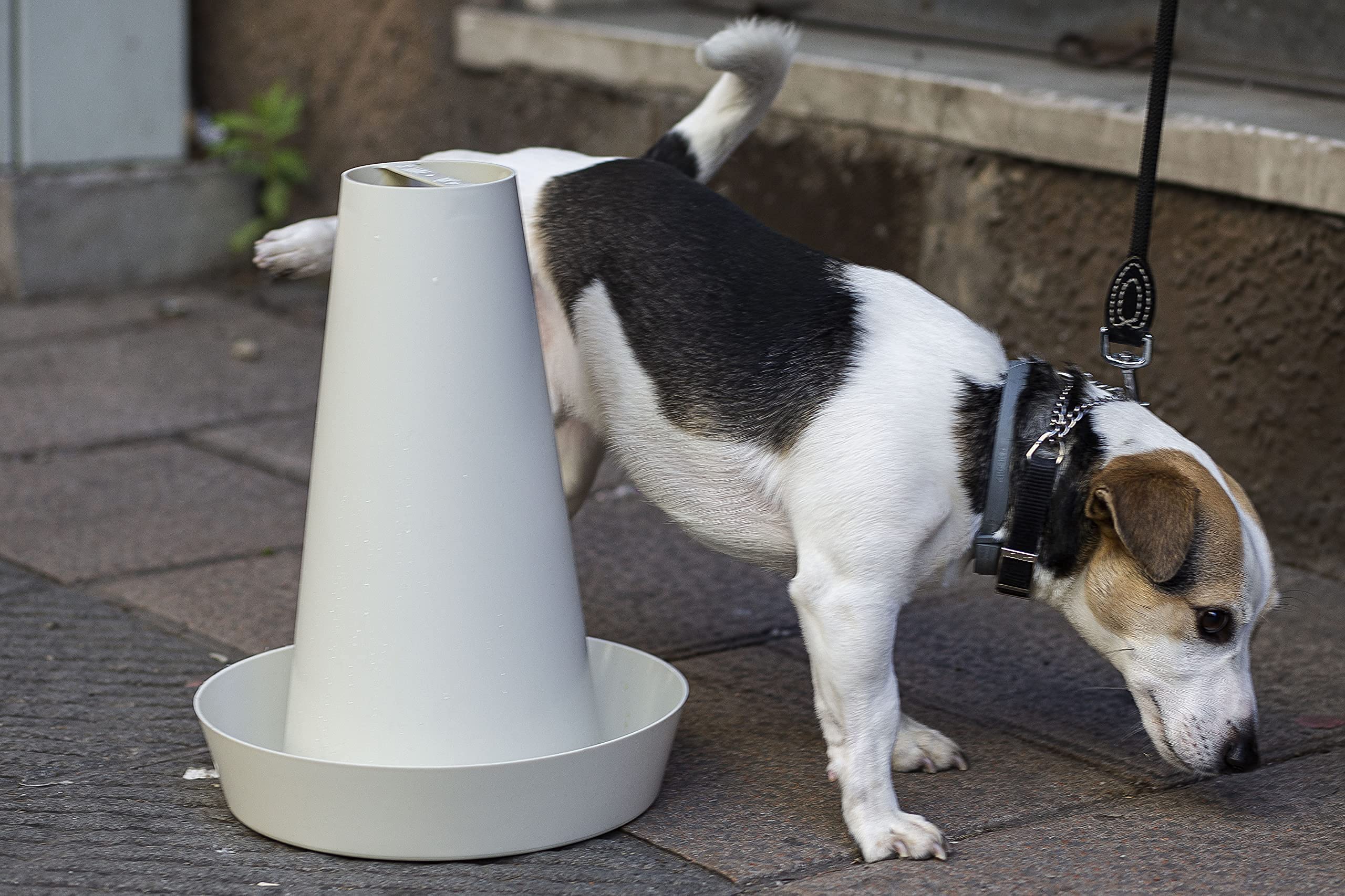 PIPPI Traversine Urinal-Matten für Hunde und Männer Zubehör saugfähig Neue Generation