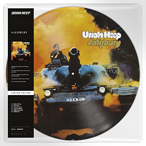 Salisbury (Limited Edition Picture Disc) [Vinyl LP]