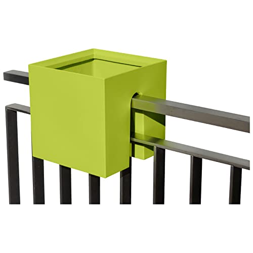 rephorm® Steckling Cube (Lime)
