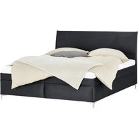 Polsterbett - schwarz - 166 cm - 110 cm - 215 cm - Betten > Doppelbetten - Möbel Kraft