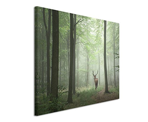 Unique Fotoleinwand 120x80cm Landschaftsfotografie – Hirsch im Nebelwald